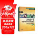 ANSYS信號完整性和電源完整性分析與仿真實(shí)例（第2版 附光盤(pán)）/萬(wàn)水ANSYS技術(shù)叢書(shū)