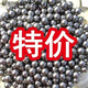 勤凱【鋼珠批發(fā)】8毫米8mm9mm10mm鐵珠珠彈弓鋼珠 8mm鋼珠 5斤