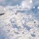 Lnieer999足銀雪花耳釘女養耳洞睡覺(jué)免摘鋯石銀耳環(huán)輕奢高級感秋冬耳飾 999足銀【雪花耳釘】