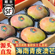 春福樂(lè ) 【順豐速運】海南三亞青皮澳芒 現摘芒果新鮮水果禮盒裝 特大果8斤丨越大越甜丨單果500g+ 陸運一級果【性?xún)r(jià)比推薦】