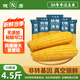 穗康黃糯玉米新鮮4.5斤真空包裝粗糧代餐營(yíng)養早餐