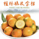 味小仙廣西桂林脆皮金桔 滑皮小金桔陽(yáng)朔特產(chǎn)黃青皮甜金橘新鮮水果 3斤（小果）【1斤40-45顆】
