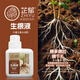 芷郁快速生根液綠植物通用扦插移栽花卉樹(shù)木強力壯苗生根劑多肉生根粉
