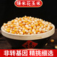 胖東來(lái)同款爆米花專(zhuān)用玉米粒2025新米東北黑龍江非轉基因球形苞米 球形玉米粒2斤【非轉基因】