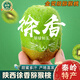 南步陜西周至徐香獼猴桃 迷糊桃彌獼桃綠心翠香奇異果新鮮水果禮盒裝 6枚 精選中果【單果60-80g】-需催熟