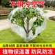 防寒樹(shù)罩秋冬季防風(fēng)保暖果樹(shù)戶(hù)外防凍保護罩花盆塑料套布保溫袋 40*60【5個(gè)裝】