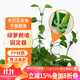 漫生活綠蘿固定器綠植免釘貼墻自粘式掛鉤園藝藤蔓植物攀爬夾子中號30個(gè)