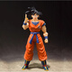 萬(wàn)代（BANDAI）SHF 七龍珠 孫悟空 悟空 黑發(fā) 2.0 地球孕育的賽亞人