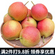 迭果北京平谷紅肖梨老北京紅梨新鮮沙梨甜梨可煮水紅梨 5斤裝 大果