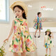 LUSON小O寶童裝寶寶油畫(huà)連衣裙女夏薄款2025新女童莫奈花園吊帶裙