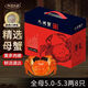 【活蟹】陽(yáng)澄鄉村大閘蟹全母5.0-5.3兩8只 去繩足重鮮活螃蟹現貨生鮮年貨禮盒 源頭直發(fā)