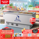 澳柯瑪（AUCMA）728L商用玻璃門(mén)冷柜島柜臥式冰淇淋雪糕冷凍柜 超市便利店多籃筐飲料冰柜平面島柜SD-728白色