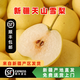 【順豐發(fā)貨】新疆庫爾勒香梨新生鮮水果冰糖雪梨大美疆遇禮盒整箱 天山雪梨5斤大果（230g+）