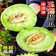 甜果源  玉菇甜瓜 哈香瓜脆甜蜜瓜應季時(shí)令當季現發(fā)整箱包郵新鮮水果 凈重8.5-9斤【超值實(shí)惠】