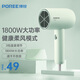 飛科博銳電吹風(fēng)機家用便攜吹風(fēng)筒宿舍用1800W大功率風(fēng)筒冷熱風(fēng)三檔吹風(fēng)  嫩綠PH1622