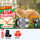 索尼（SONY） E50mm F1.8 OSS  APS-C畫(huà)幅 定焦  50F1.8半畫(huà)幅定焦鏡頭 街拍  特寫(xiě)人像 銀色E50F1.8+尼克斯49UV