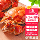 【活蟹】乾澄大閘蟹現貨 精選全母蟹4.2-4.5兩 6只裝 特大鮮活螃蟹海鮮禮盒源頭直發(fā)