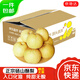 京地達碭山酥梨凈重9斤大果250g+ 雪梨貢梨 脆甜爽口  源頭直發(fā) 包郵
