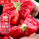大禹普羅旺斯西紅柿種子番茄苗帶土秧苗老品種沙瓤大粉番茄農科院壽光 普羅旺斯西紅柿種子 20粒老品種