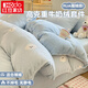紅豆家紡秋冬季牛奶絨四件套加厚被套床單珊瑚絨被罩床笠學(xué)生宿舍三件套 絨絨小狗藍 1.8m 床單款 四件套-被套180*220cm