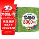 簡(jiǎn)筆畫(huà)8000例（超值版）幼兒畫(huà)畫(huà)啟蒙書(shū) 八大主題8000個(gè)圖例 內容豐富 畫(huà)畫(huà)入門(mén)教材 大豆油墨印刷