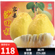 趣覓鮮正宗容縣沙田柚產(chǎn)地直發(fā)廣西特產(chǎn)純甜無(wú)酸老樹(shù)白肉柚子新鮮水果 20斤帶箱9-11個(gè)禮盒裝