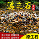 天然溪流石魚(yú)缸造景石頭觀(guān)賞石底砂烏龜缸鵝卵石頭水草鋪底過(guò)濾材 A級溪流石6-9毫米【5斤】