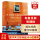 布魯克林有棵樹(shù) 英文原版小說(shuō) A Tree Grows in Brooklyn貝蒂史密斯 曹文軒推薦 孩子和家庭關(guān)系 影視原著(zhù) 平裝 搭夏洛的網(wǎng) 小王子  布魯克林有棵樹(shù)