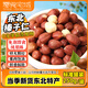 零食宅域東北特產(chǎn)大榛子仁鐵嶺2025新果原味薄殼堅果炒貨干果年貨口250g