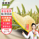 漫德萊草帽大草帽男斗笠帽夏季農用草帽子沙灘戶(hù)外遮陽(yáng)防曬竹編帽42cm*3
