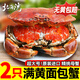 北海灣 英國熟凍面包蟹 原裝進(jìn)口 黃道蟹鮮活熟凍滿(mǎn)黃 節日禮品年貨 2只裝 【凈重800-1000g/只】
