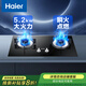 海爾（Haier）燃氣灶家用節能雙灶臺式嵌入式熄火保護防干燒猛火定時(shí)天然氣液化氣煤氣灶【官倉直發(fā)】 H款-5.2kW藍焰猛火灶BE50 天然氣