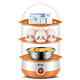 領(lǐng)銳 煮蛋器蒸蛋器自動(dòng)斷電迷你家用蒸蛋羹煮雞蛋器早餐煮蛋機小型神器 橙色-三層（帶碗） 三層