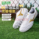 美津濃（MIZUNO）小李子:Mizuno美津濃新銳中端袋鼠皮成人比賽足球鞋男運動(dòng)訓練 白金色-AG短釘袋鼠皮P1GA239307 40.5 260MM