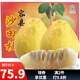 趣覓鮮正宗容縣沙田柚產(chǎn)地直發(fā)廣西特產(chǎn)純甜無(wú)酸老樹(shù)白肉柚子新鮮水果 12斤凈重大果5-6個(gè)禮盒裝
