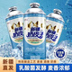 北牧元網(wǎng)紅新疆奶皮子酸奶精釀啤酒中式精釀750ml整箱清爽氣泡新疆直發(fā) 奶皮子精釀啤酒 750mL 4罐 新疆直發(fā)多了可談