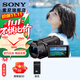 索尼（SONY） FDR-AX45A高清數碼攝像機4K專(zhuān)業(yè)視頻拍攝vlog攝影機直播旅游婚慶便攜式錄像機 AX45A 標配