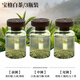佳創(chuàng  )奇【雅致輕奢】車(chē)載香薰持久留香車(chē)內飾品擺件高級香水 寶格白茶*3 拍一發(fā)三