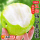 京地達碭山青皮皇冠梨 凈重9斤單果250g 青皮翠冠梨梨子源頭直發(fā)包郵
