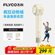 飛科（FLYCO）高速電吹風(fēng)機(jī)送女生節(jié)日禮物低噪速干出行必備負(fù)離子護(hù)發(fā)家用宿舍用吹風(fēng)筒FH6372朱迪兔聯(lián)名
