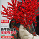 臨雅北美冬青紅果水培鮮花新年盆栽室內鮮切銀柳真花鮮枝年宵花卉水養 【中通】5A冬青50cm8枝 送掛件