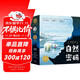 自然密碼科普大獎繪本套裝全15冊暢銷繪本故事書3-6歲書籍兒童科普玩轉(zhuǎn)科學百科圖書籍