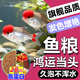 鴻運當頭魚(yú)飼料觀(guān)賞魚(yú)羅漢魚(yú)專(zhuān)用高鈣小顆粒魚(yú)食孔雀魚(yú)緩沉型魚(yú)糧 150ml 1瓶 緩沉型體驗裝