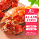 【活蟹】乾澄大閘蟹現貨 特大全母蟹4.2-4.5兩 8只 鮮活螃蟹河蟹水產(chǎn)海鮮禮盒源頭直發(fā)