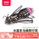 國王路亞馬蜂爬行餌黑坑鱸魚(yú)昆蟲(chóng)路亞假餌搖擺式游動(dòng)餌水面系魚(yú)餌 4.2g-02