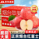 秦悅仙果鮮蘋(píng)果水果山東煙臺紅富士蘋(píng)果新鮮水果禮盒單果85mm+節日送禮包郵 正宗煙臺紅富士丨特大果8.5斤單果250g+