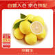 京鮮生 安岳黃檸檬 4粒 單果95g起 生鮮水果