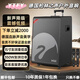 YTFY德國進(jìn)口柏林之聲廣場(chǎng)舞高端音響戶(hù)外音箱k歌拉桿無(wú)線(xiàn)藍牙大功率聲卡講話(huà)一體機 MY15（15寸+雙美聲金屬話(huà)筒）