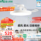 雷士（NVC）LED照明枕邊風(fēng)風(fēng)扇燈北歐餐廳臥室三防一體1級能效42寸48瓦包安裝