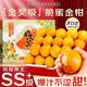梓樂(lè )果廣西融安金桔新鮮脆蜜金桔脆蜜金柑滑皮金桔孕婦水果年貨禮盒順豐 3斤三代脆蜜金柑（11-14顆/斤）